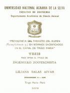 Portada local