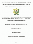 Portada local