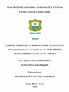 Portada local