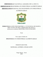 Portada local