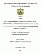 Portada local