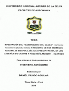 Portada local
