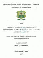 Portada local