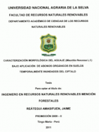 Portada local