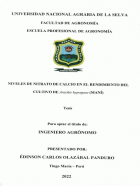Portada local