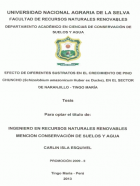 Portada local