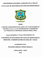 Portada local