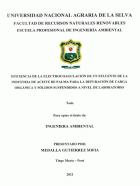 Portada local