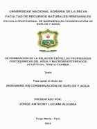Portada local