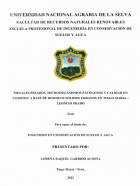 Portada local