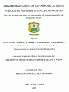 Portada local