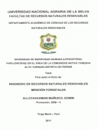 Portada local