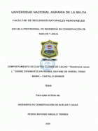 Portada local