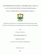 Portada local