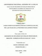 Portada local