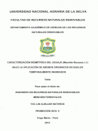 Portada local