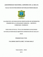 Portada local