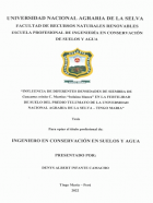 Portada local