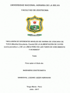 Portada local