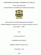Portada local