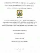Portada local