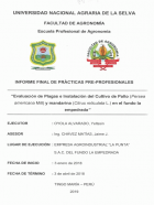 Portada local