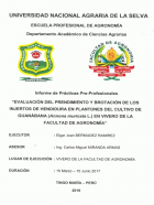 Portada local