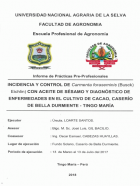 Portada local