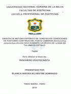 Portada local