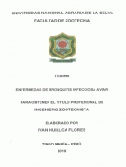 Portada local
