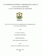 Portada local