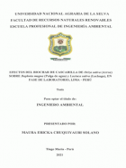 Portada local