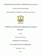 Portada local