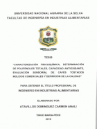 Portada local