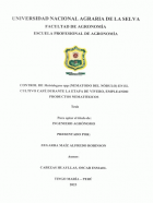 Portada local