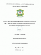 Portada local