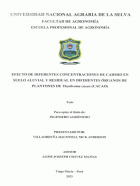 Portada local