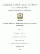 Portada local