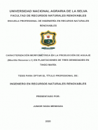 Portada local