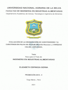 Portada local