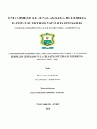 Portada local