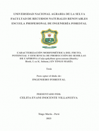 Portada local