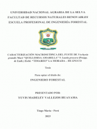Portada local