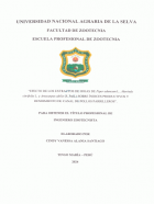 Portada local