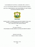 Portada local