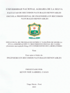 Portada local
