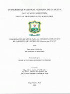 Portada local