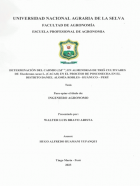 Portada local