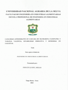 Portada local