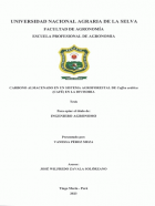 Portada local